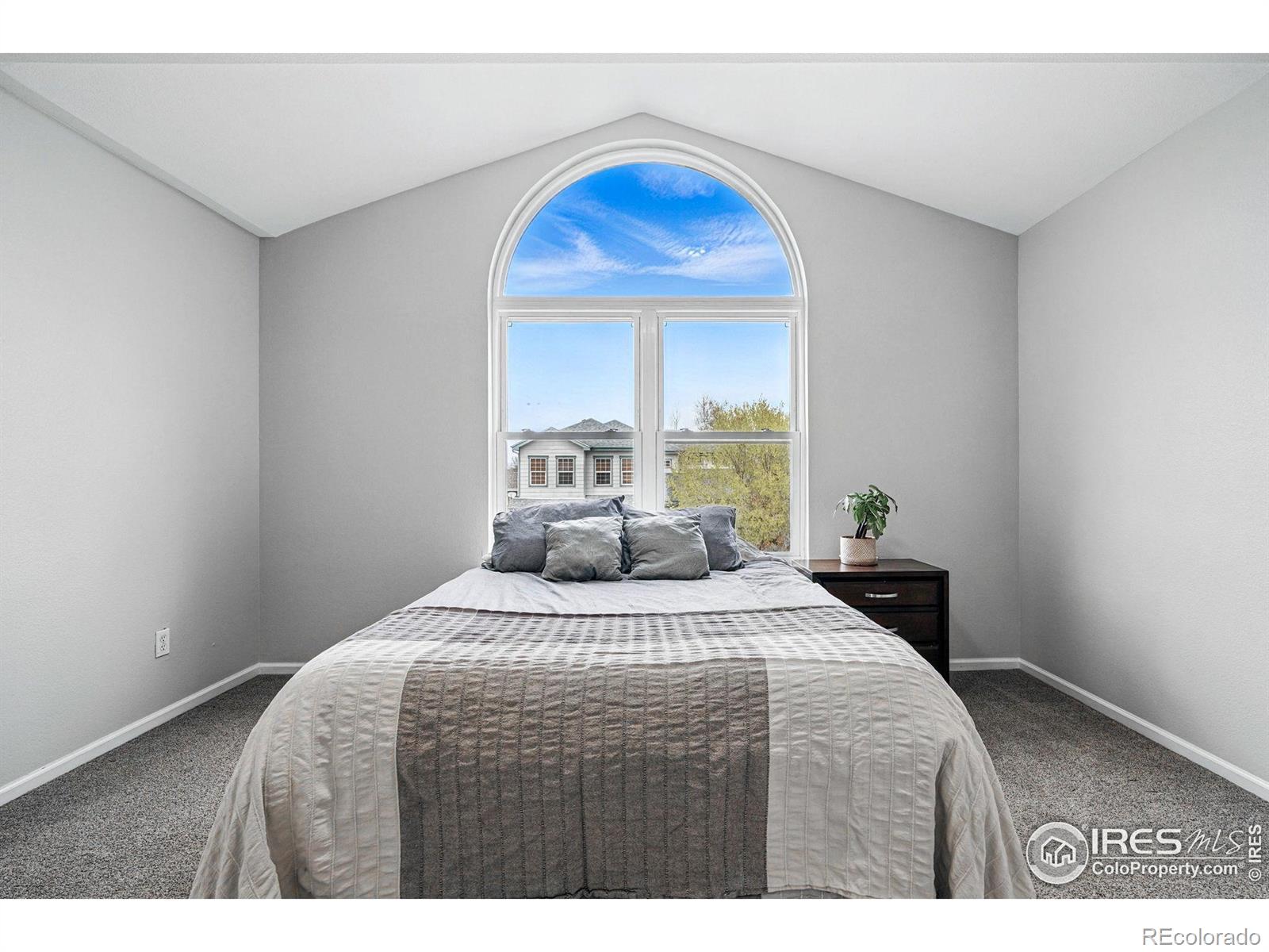 MLS Image #22 for 505  saint andrews drive,longmont, Colorado