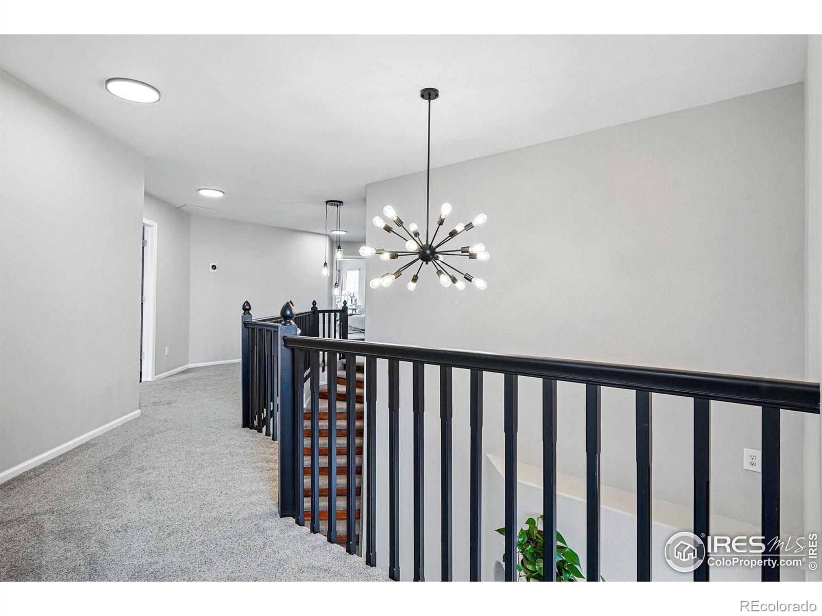 MLS Image #23 for 505  saint andrews drive,longmont, Colorado