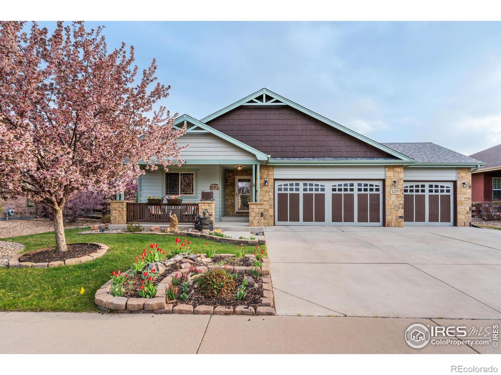 MLS Image #3 for 129  tidewater drive,windsor, Colorado