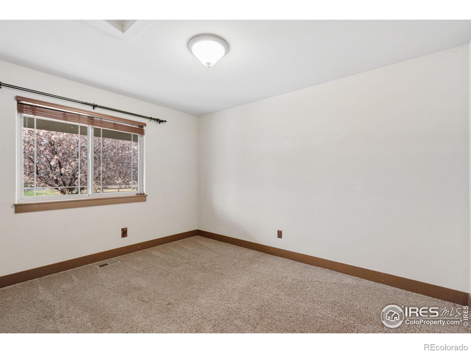 MLS Image #4 for 129  tidewater drive,windsor, Colorado
