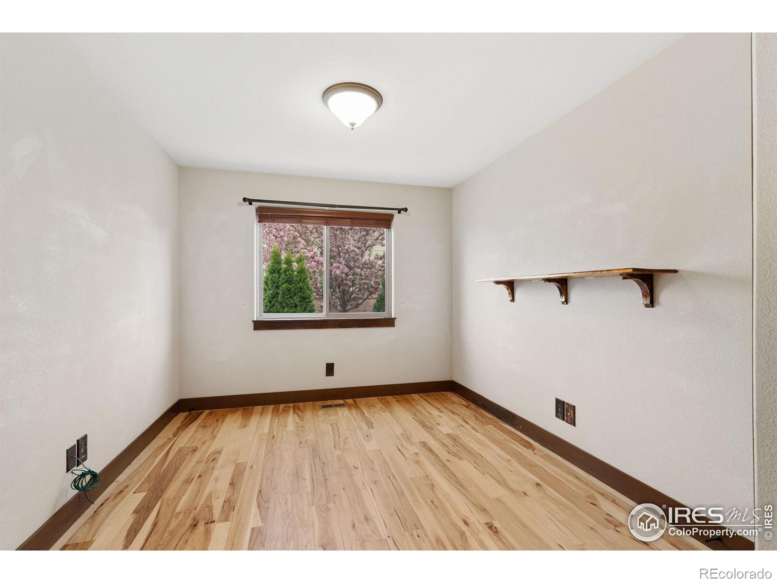 MLS Image #6 for 129  tidewater drive,windsor, Colorado
