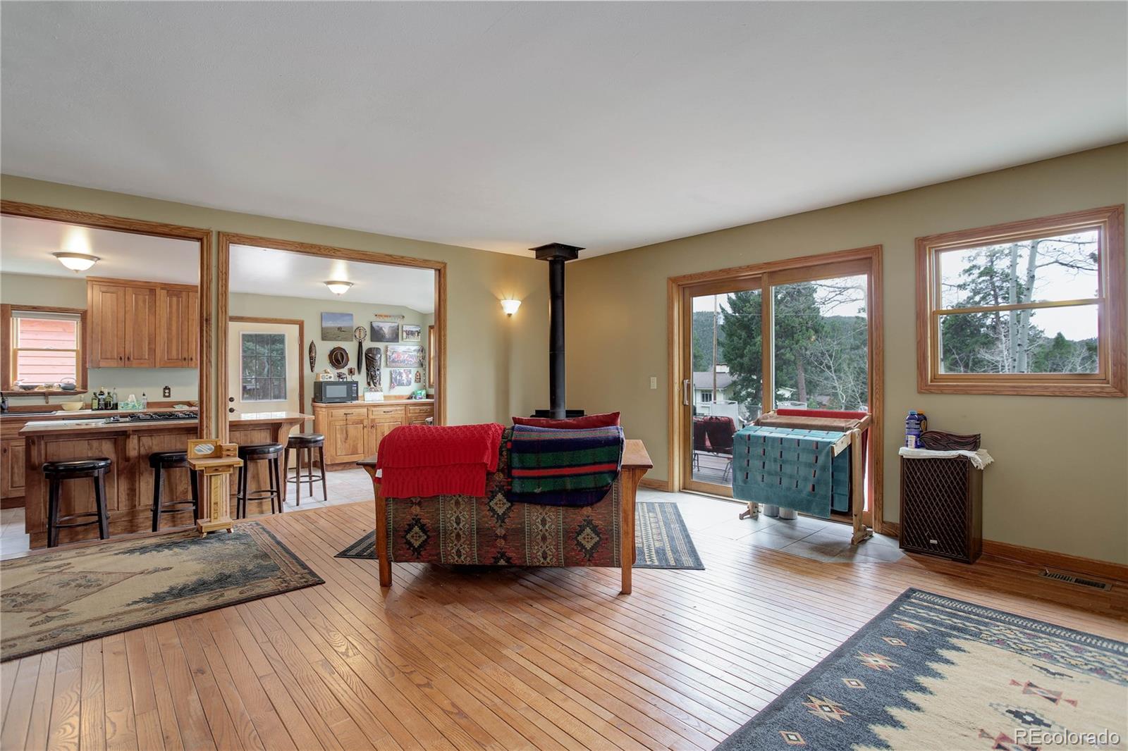 MLS Image #20 for 26367  pressler street,conifer, Colorado