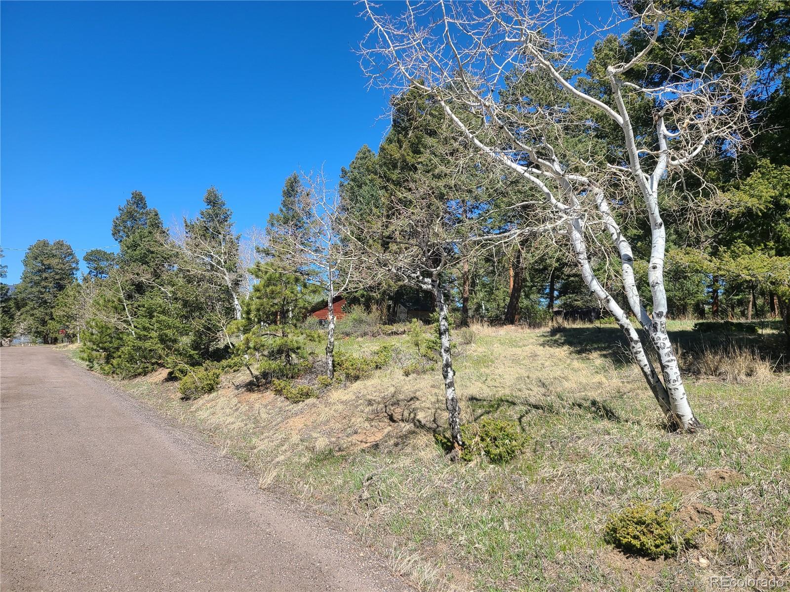 MLS Image #3 for 26367  pressler street,conifer, Colorado