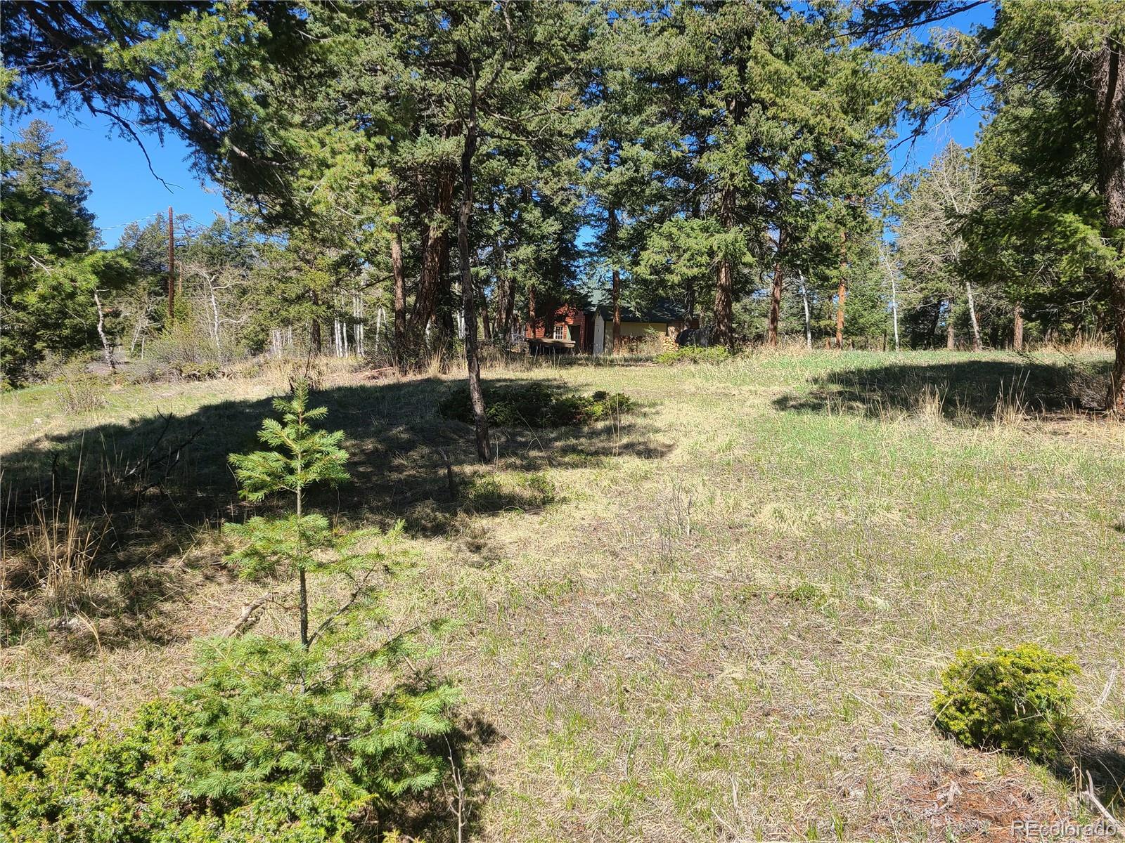 MLS Image #36 for 26367  pressler street,conifer, Colorado