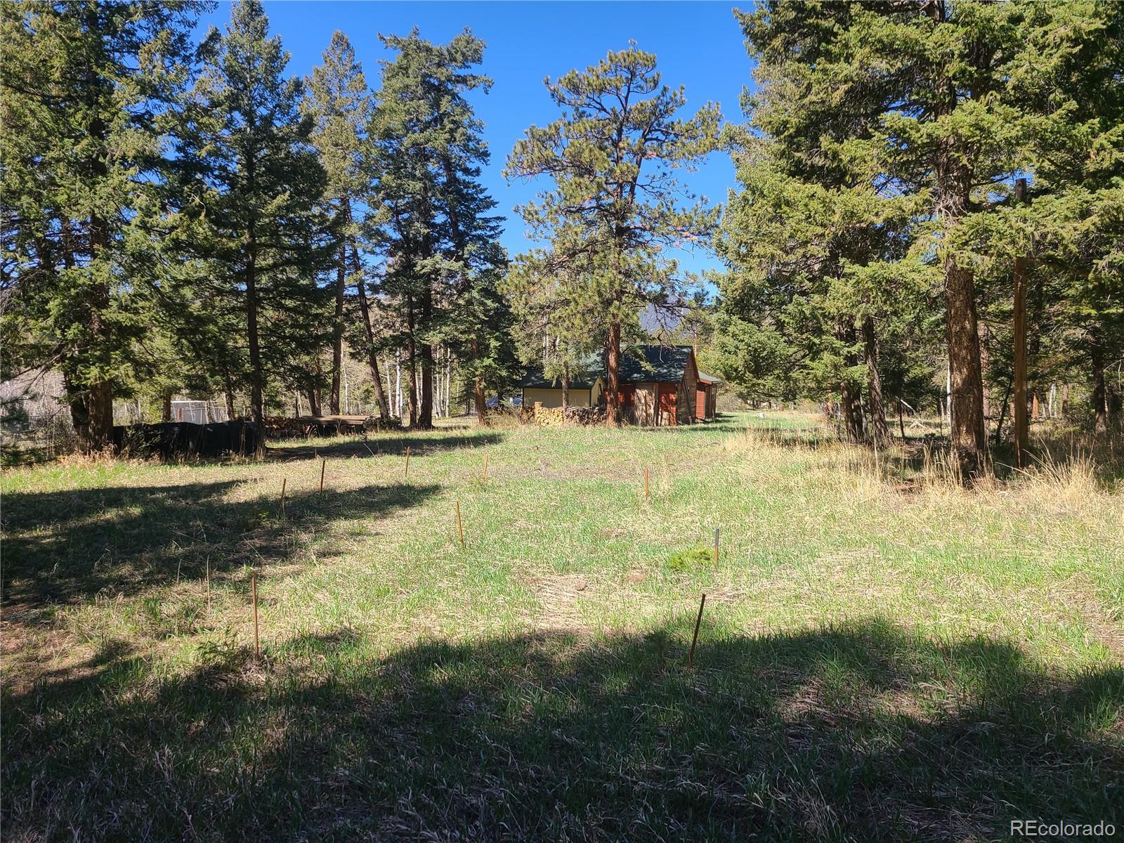 MLS Image #4 for 26367  pressler street,conifer, Colorado