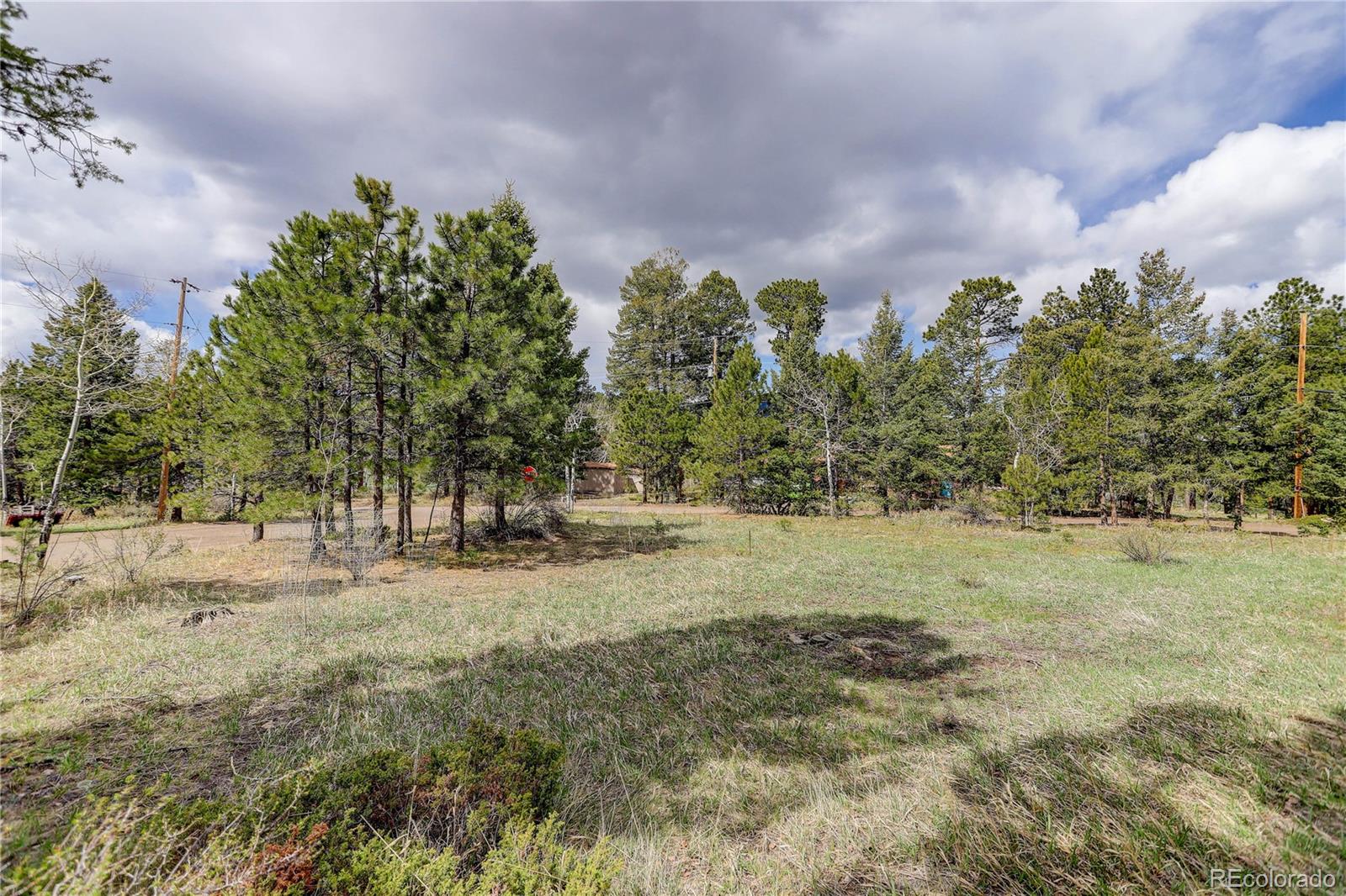 MLS Image #7 for 26367  pressler street,conifer, Colorado