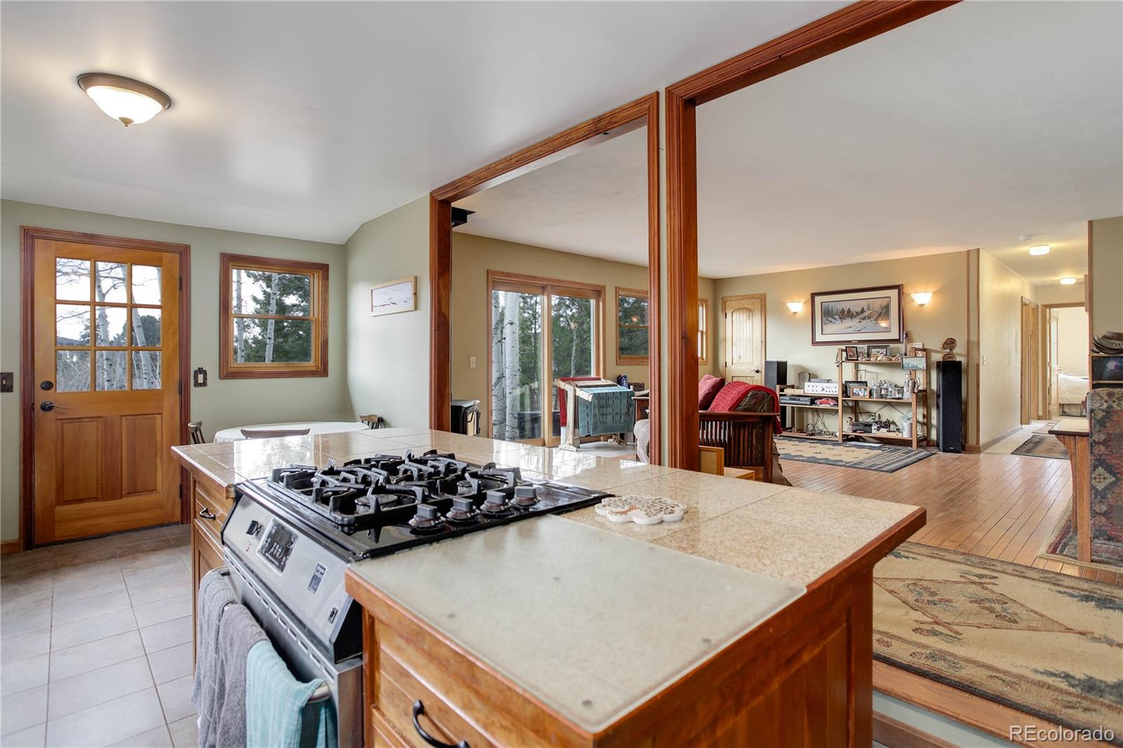 MLS Image #9 for 26367  pressler street,conifer, Colorado