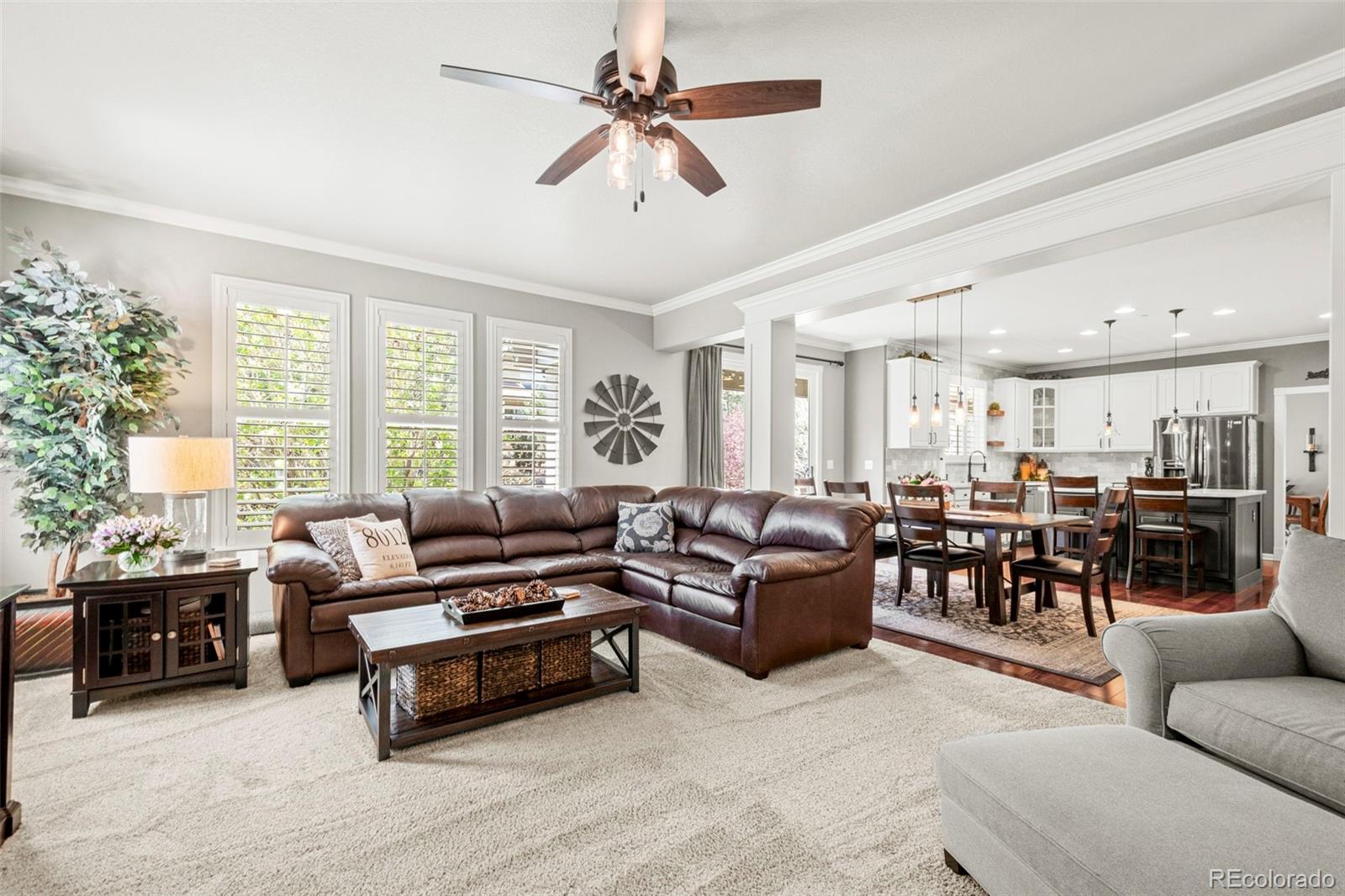 MLS Image #19 for 3188  lynwood avenue,highlands ranch, Colorado