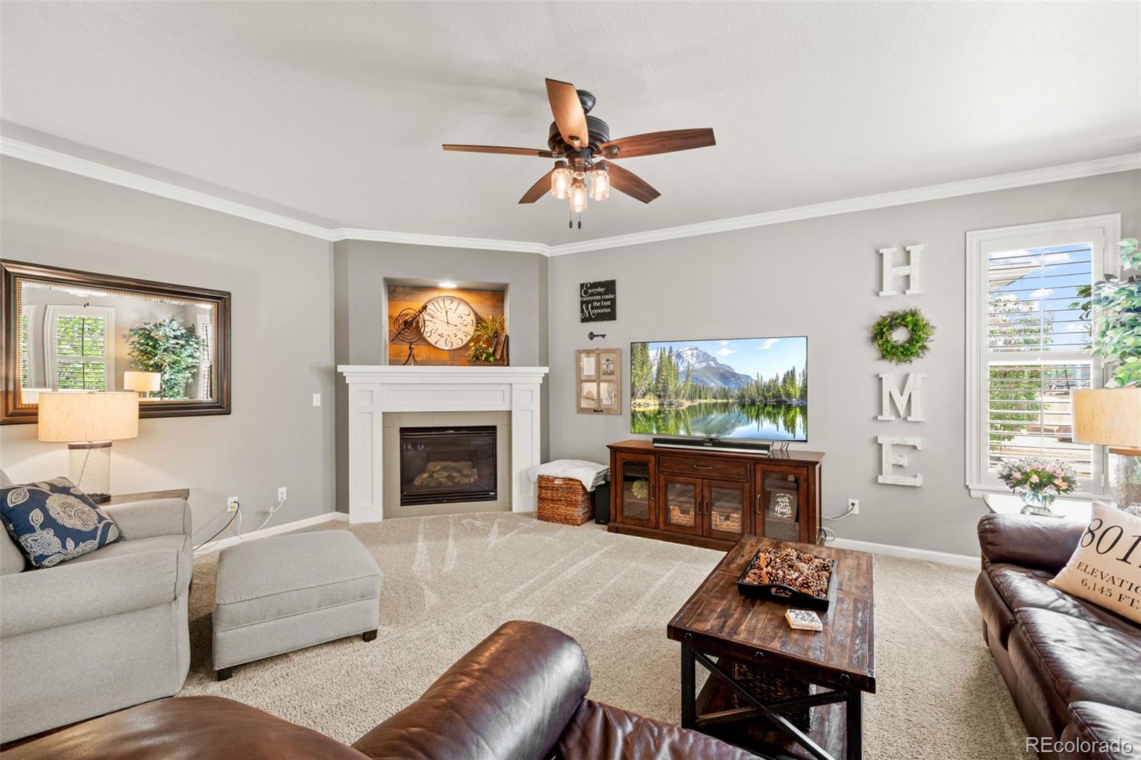 MLS Image #20 for 3188  lynwood avenue,highlands ranch, Colorado