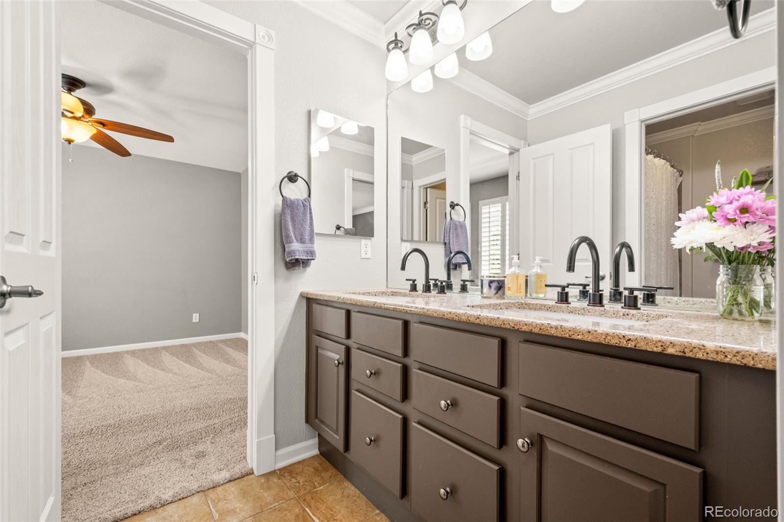 MLS Image #30 for 3188  lynwood avenue,highlands ranch, Colorado