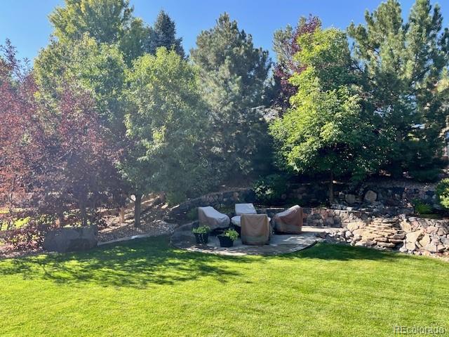 MLS Image #46 for 3188  lynwood avenue,highlands ranch, Colorado