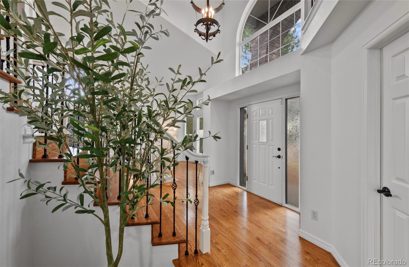 MLS Image #2 for 10383  erin place,lone tree, Colorado
