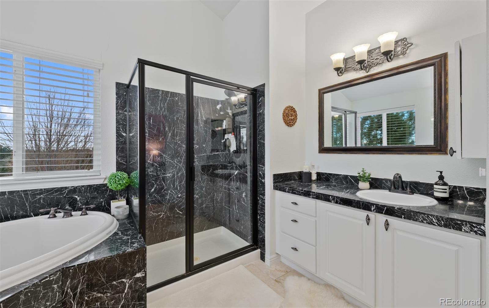 MLS Image #24 for 10383  erin place,lone tree, Colorado