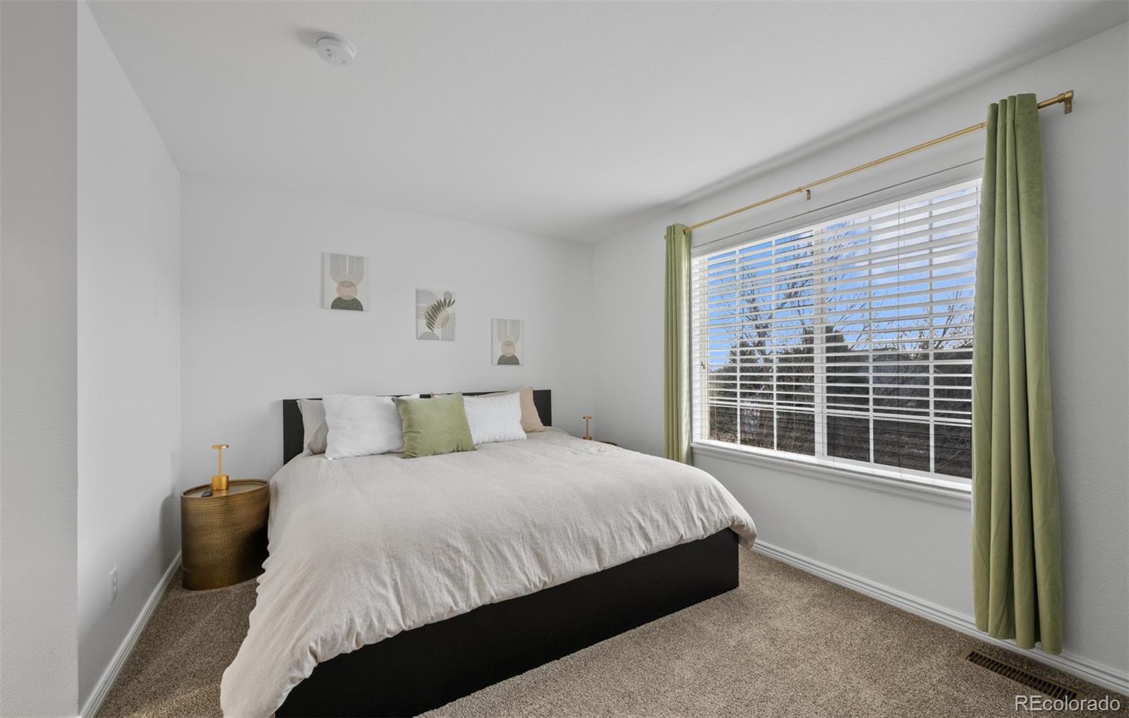 MLS Image #25 for 10383  erin place,lone tree, Colorado