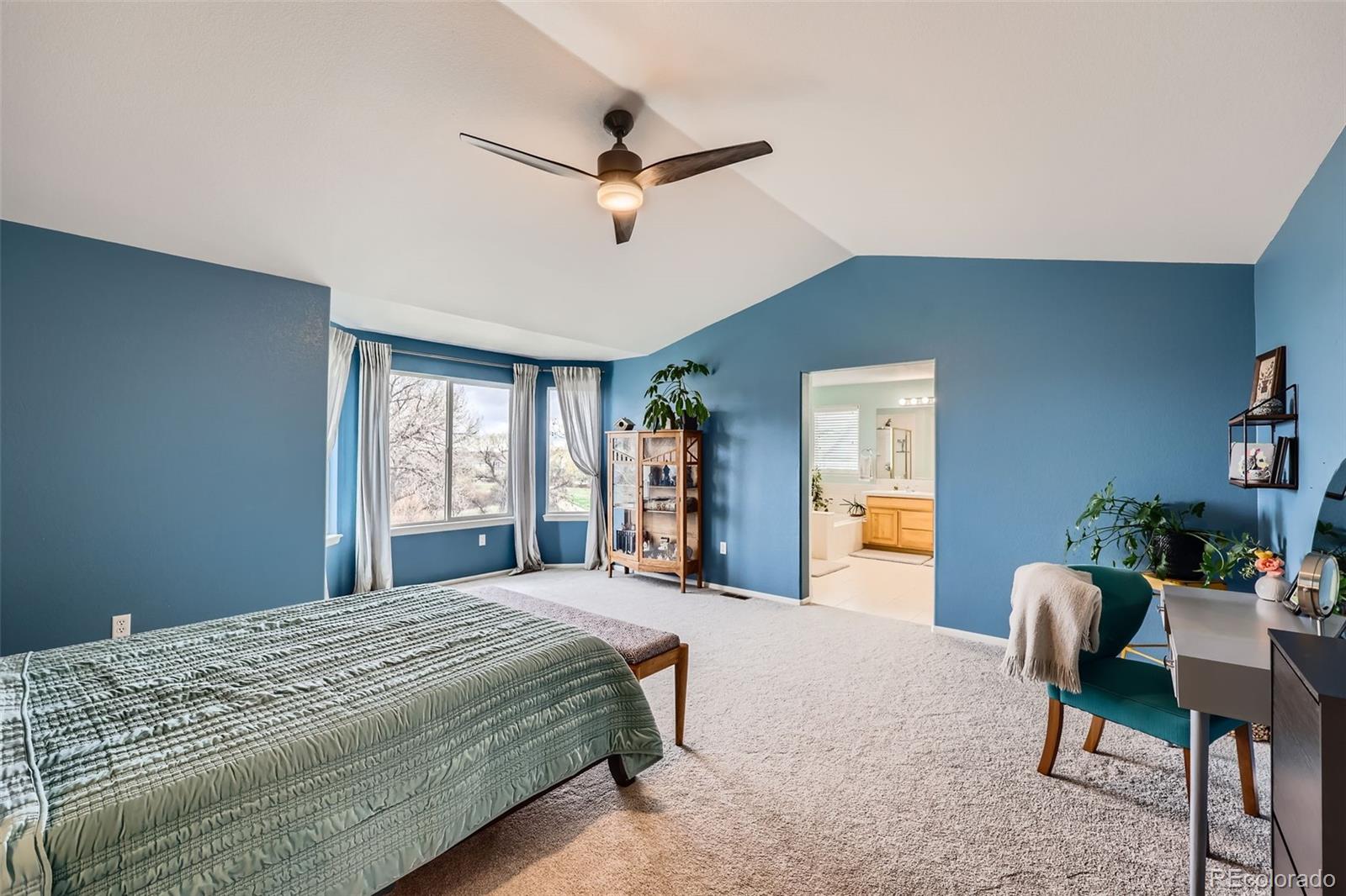 MLS Image #14 for 10939  quail run court,parker, Colorado