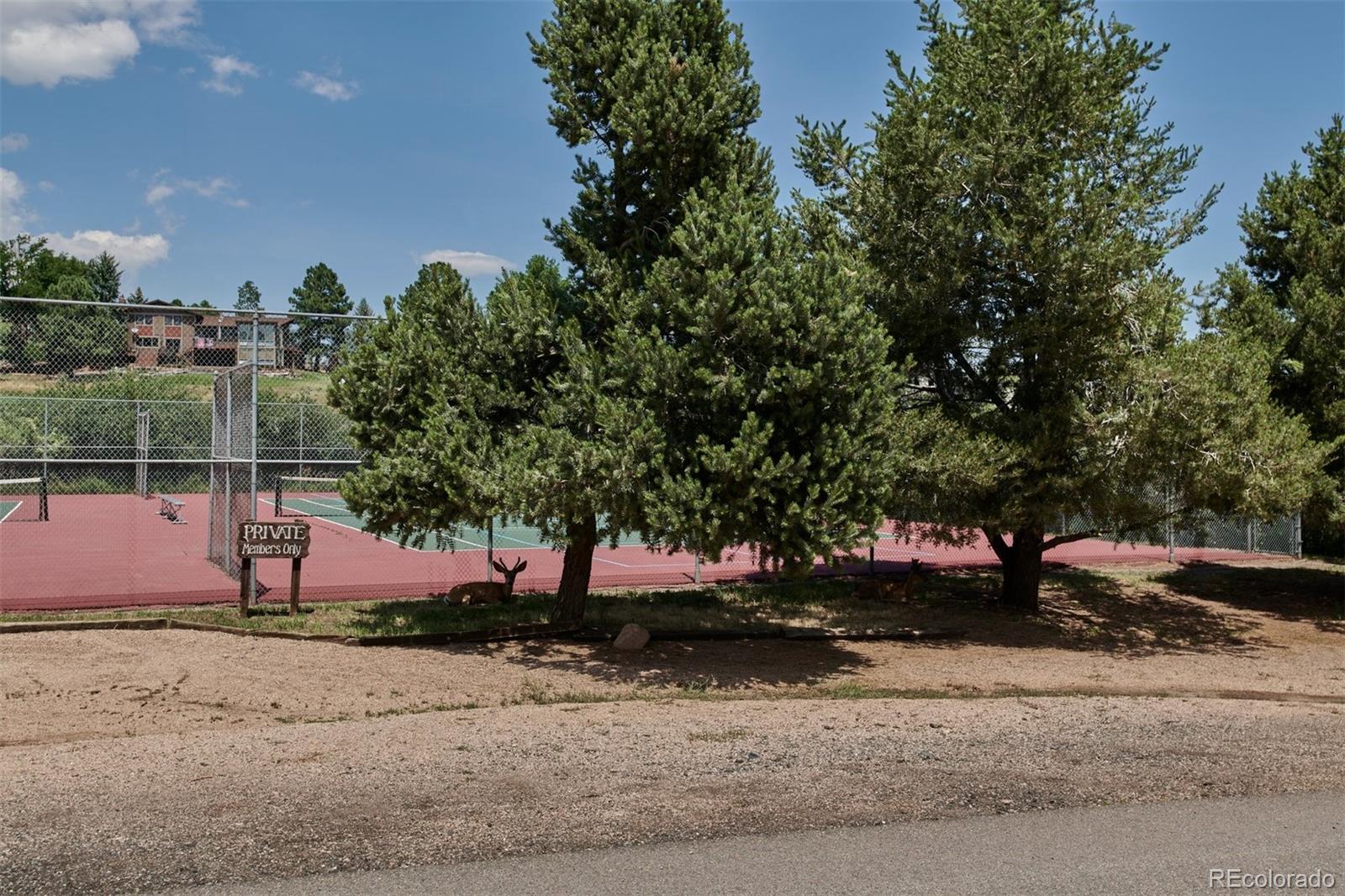 MLS Image #47 for 6093  willowbrook drive,morrison, Colorado