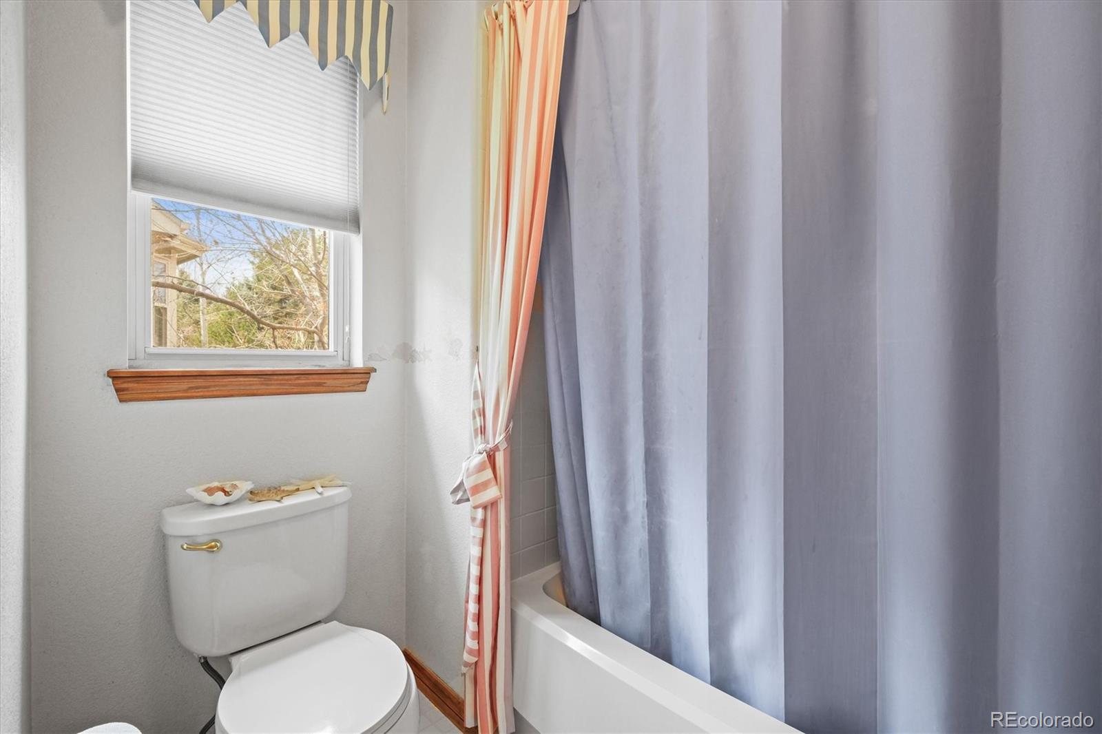 MLS Image #28 for 5723 s everett way,littleton, Colorado