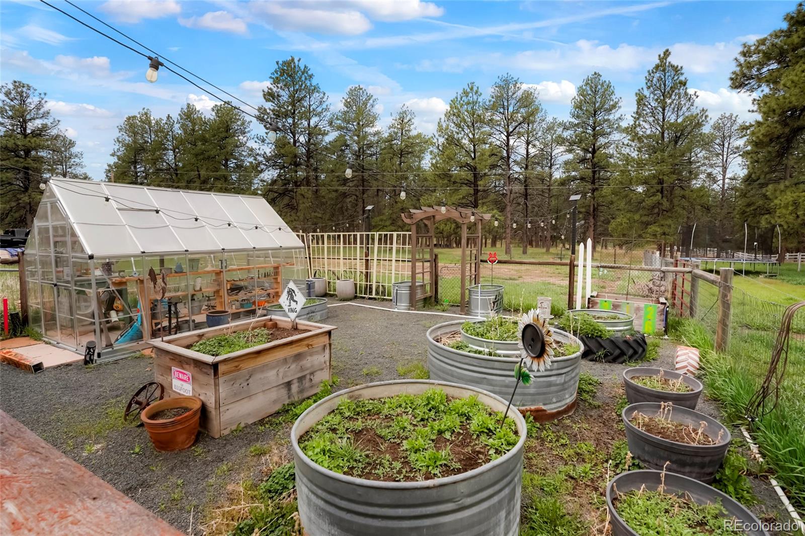 MLS Image #44 for 37625  pheasant run,elizabeth, Colorado