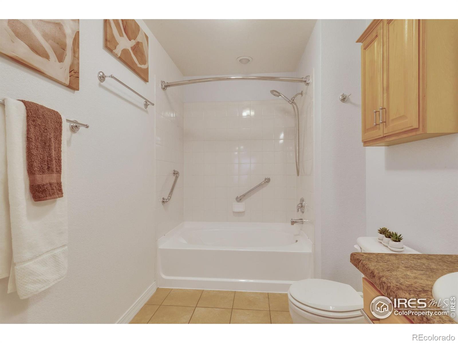 MLS Image #18 for 805  summer hawk drive,longmont, Colorado