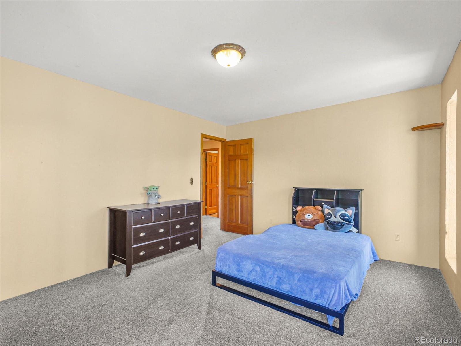MLS Image #33 for 8791  grizzly way,evergreen, Colorado