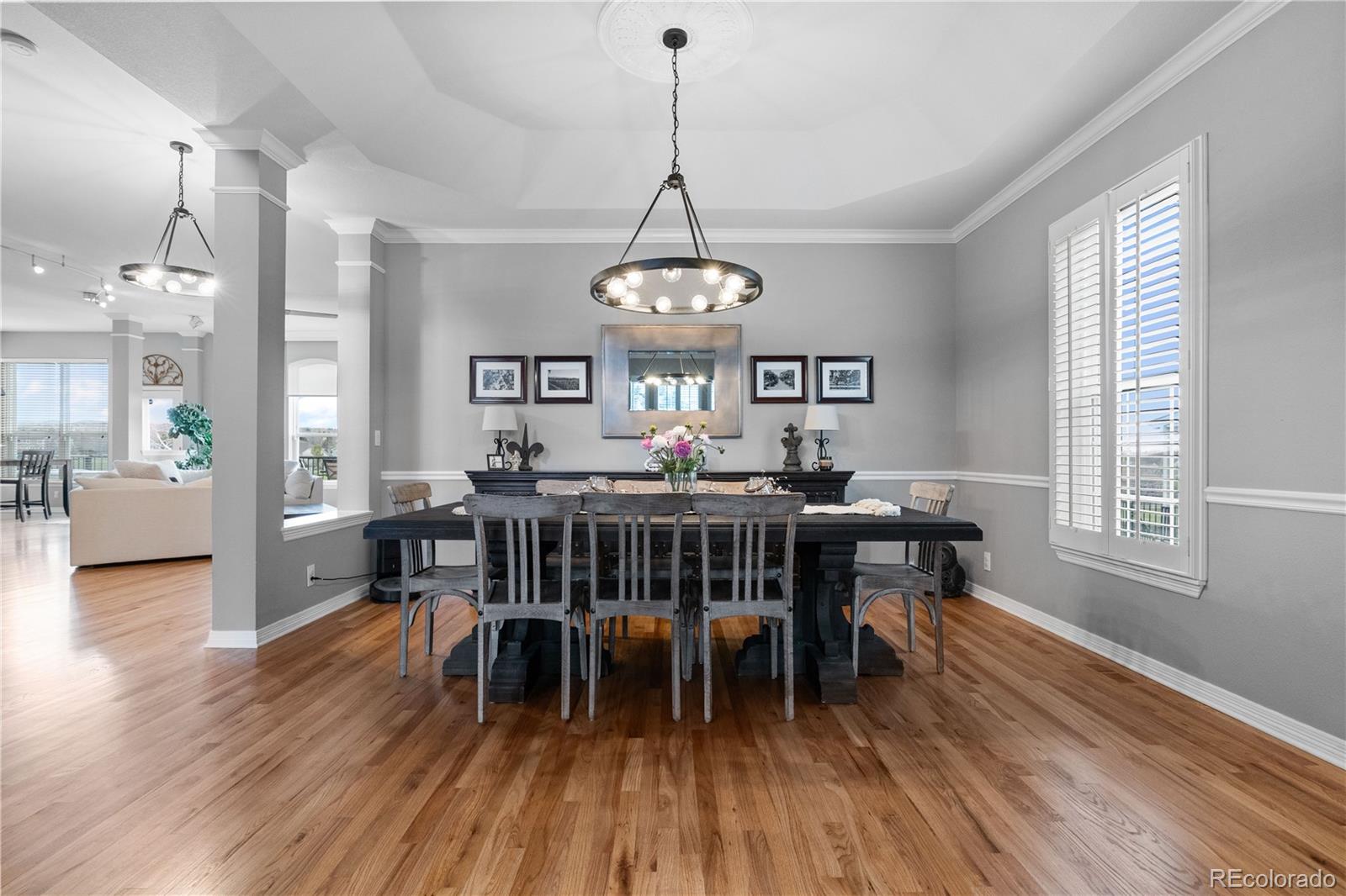MLS Image #6 for 446  angus way,highlands ranch, Colorado