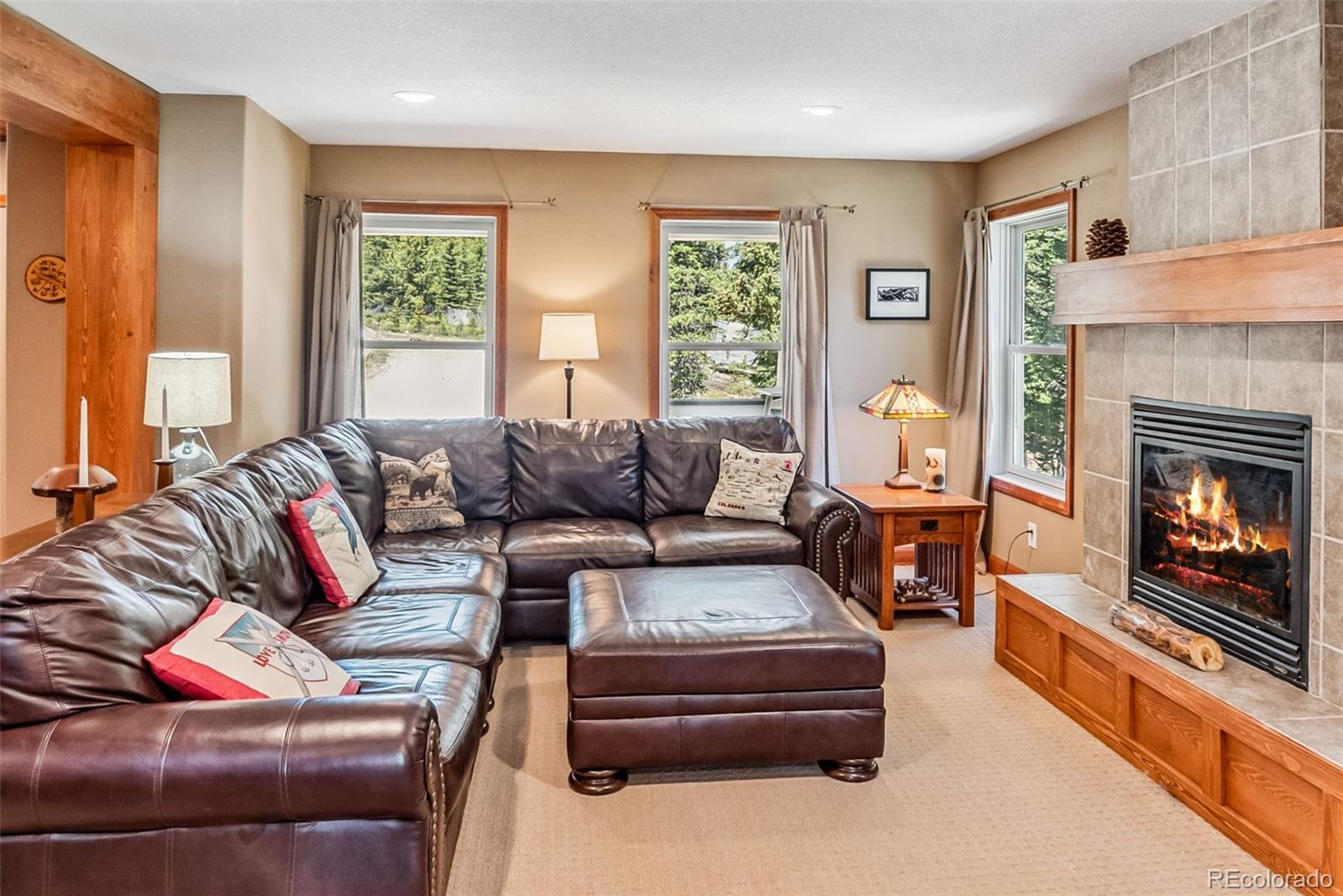 MLS Image #10 for 74  rialto road,fairplay, Colorado