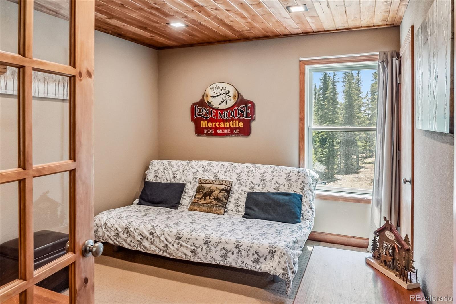 MLS Image #11 for 74  rialto road,fairplay, Colorado