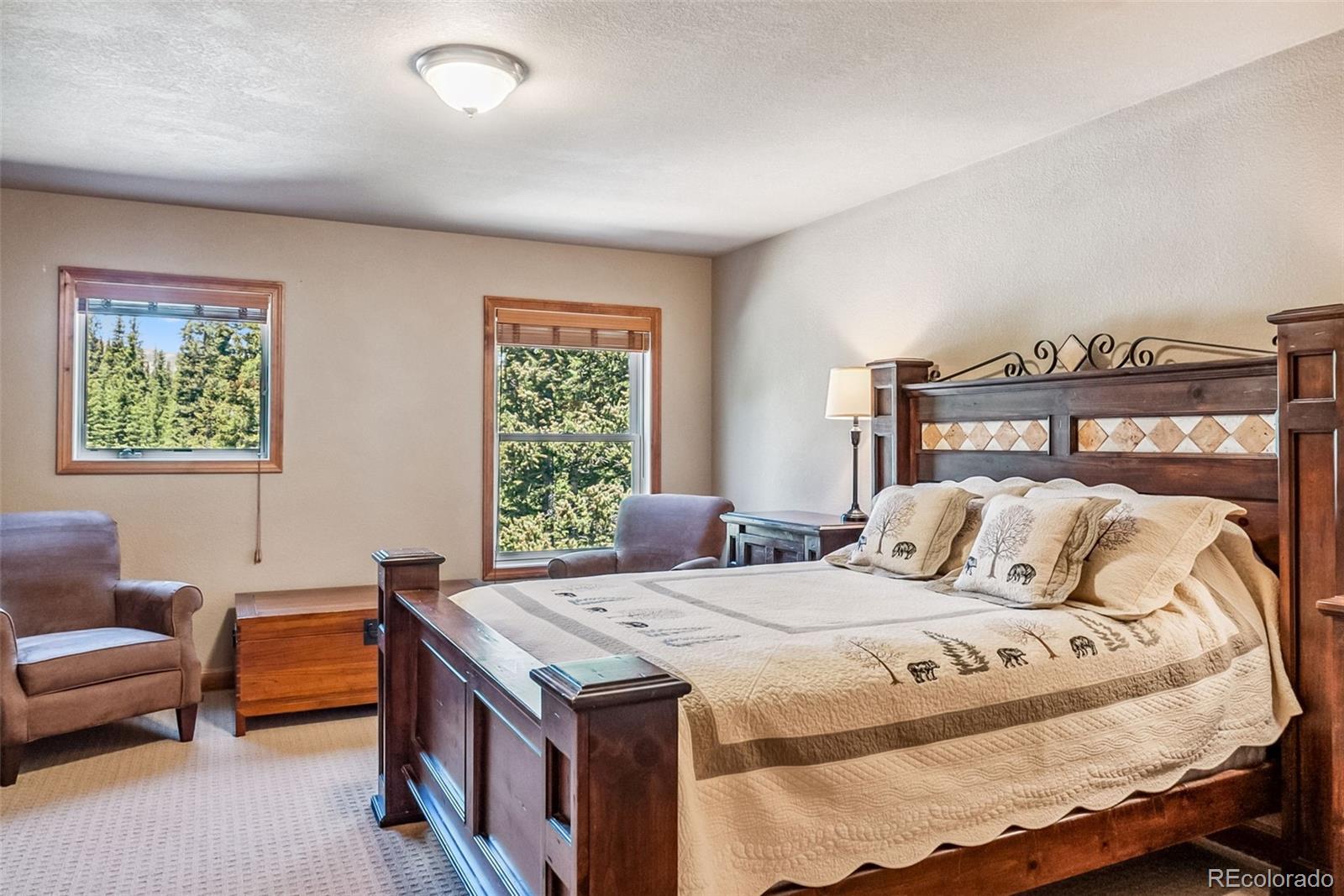 MLS Image #18 for 74  rialto road,fairplay, Colorado