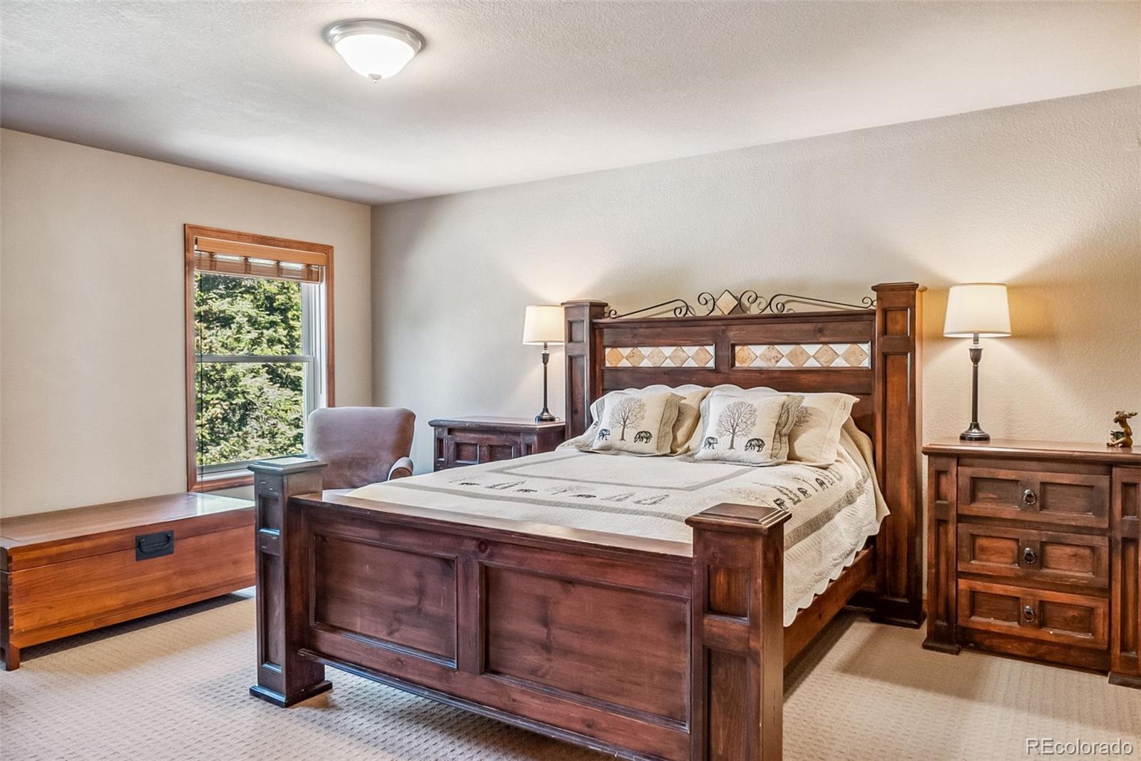 MLS Image #19 for 74  rialto road,fairplay, Colorado