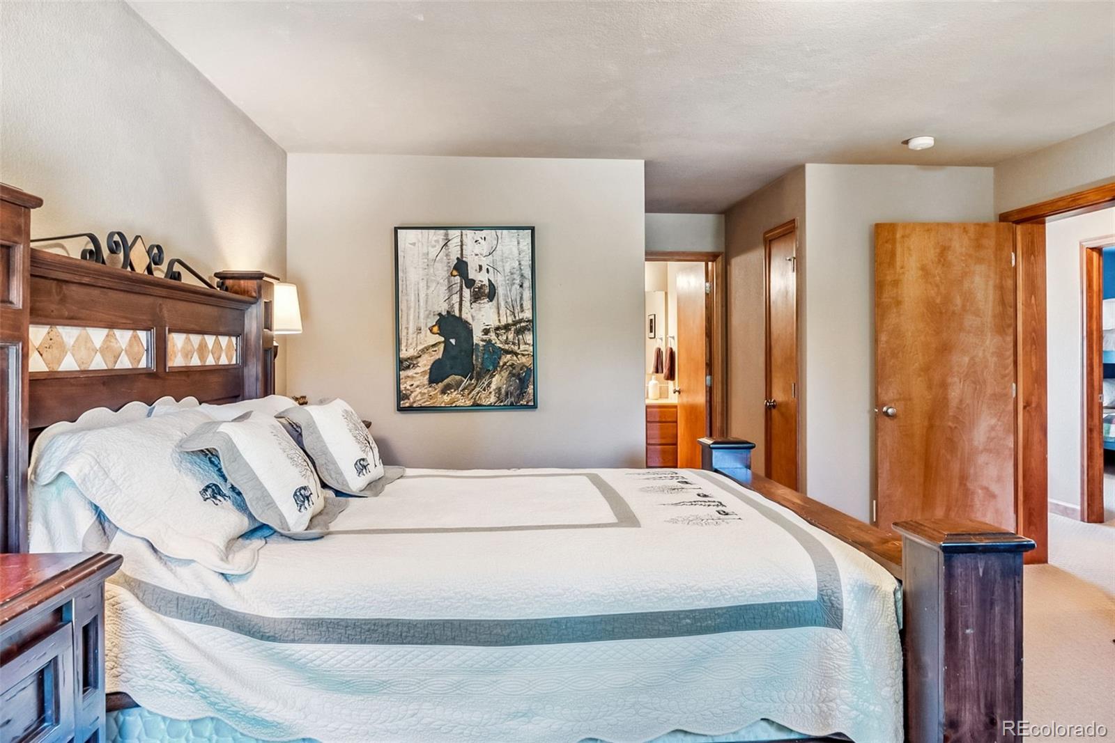 MLS Image #20 for 74  rialto road,fairplay, Colorado