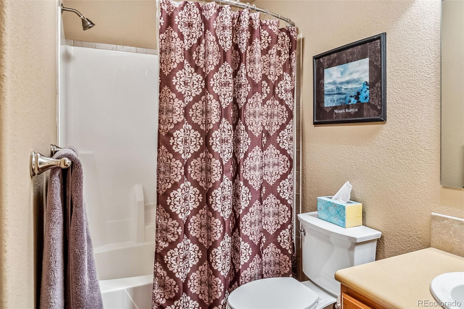MLS Image #21 for 74  rialto road,fairplay, Colorado