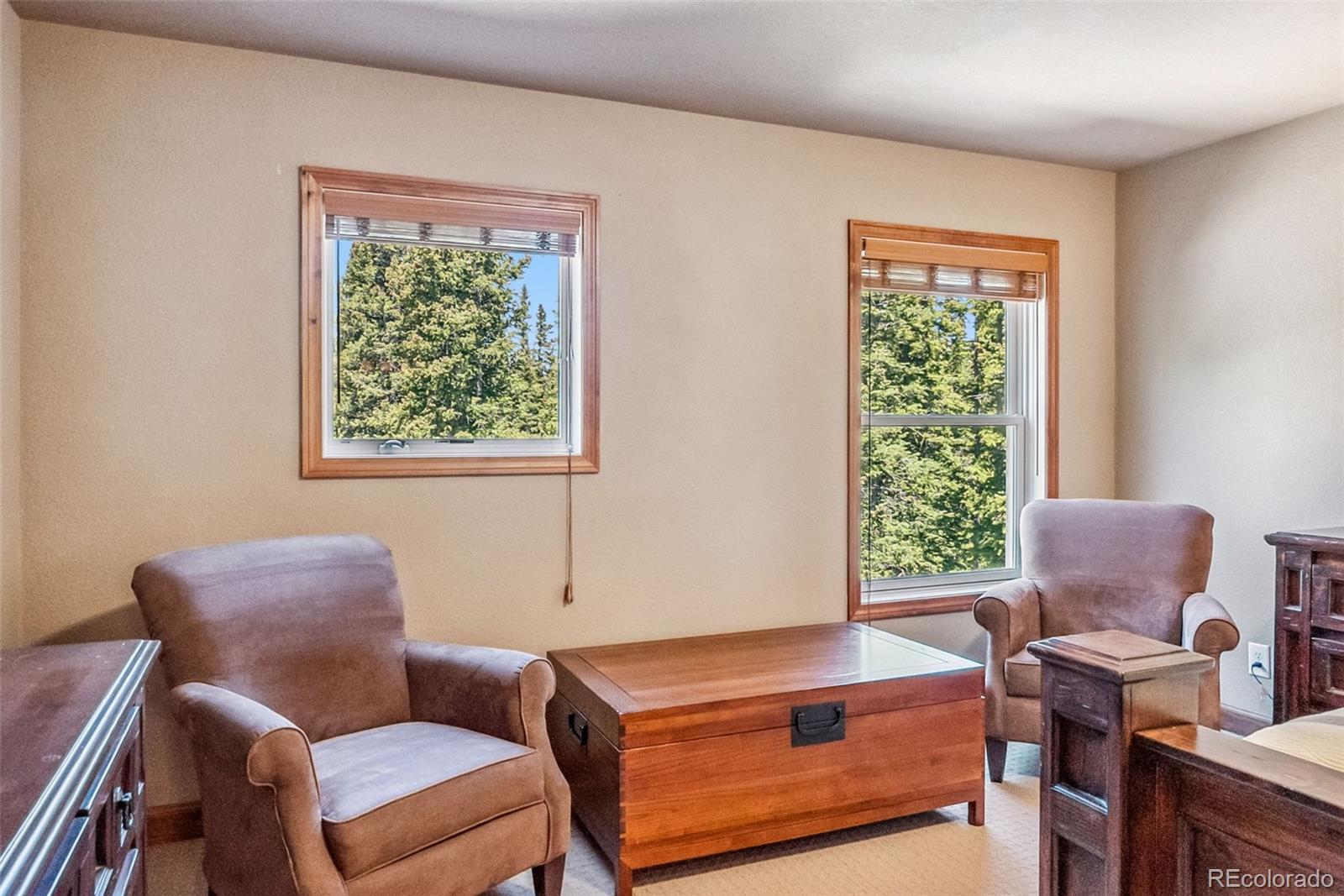MLS Image #22 for 74  rialto road,fairplay, Colorado