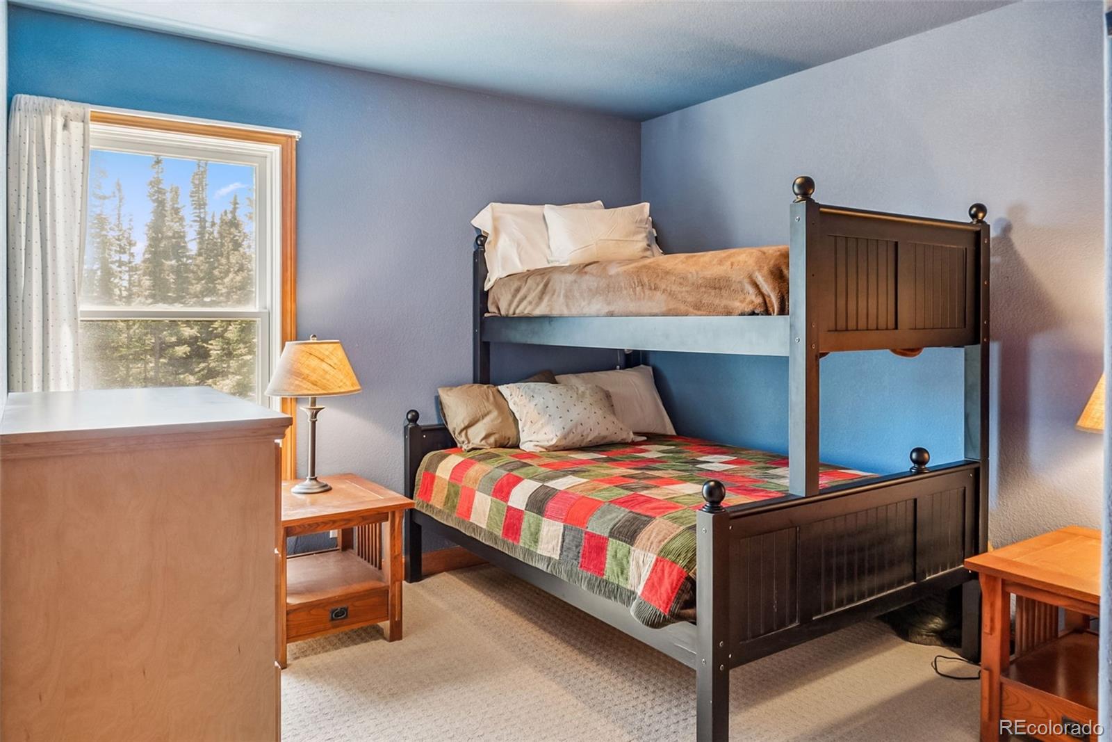 MLS Image #24 for 74  rialto road,fairplay, Colorado