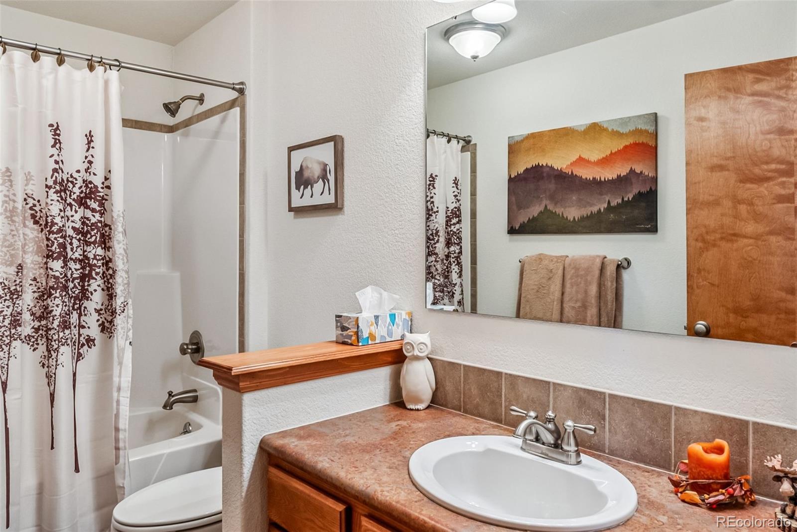 MLS Image #25 for 74  rialto road,fairplay, Colorado