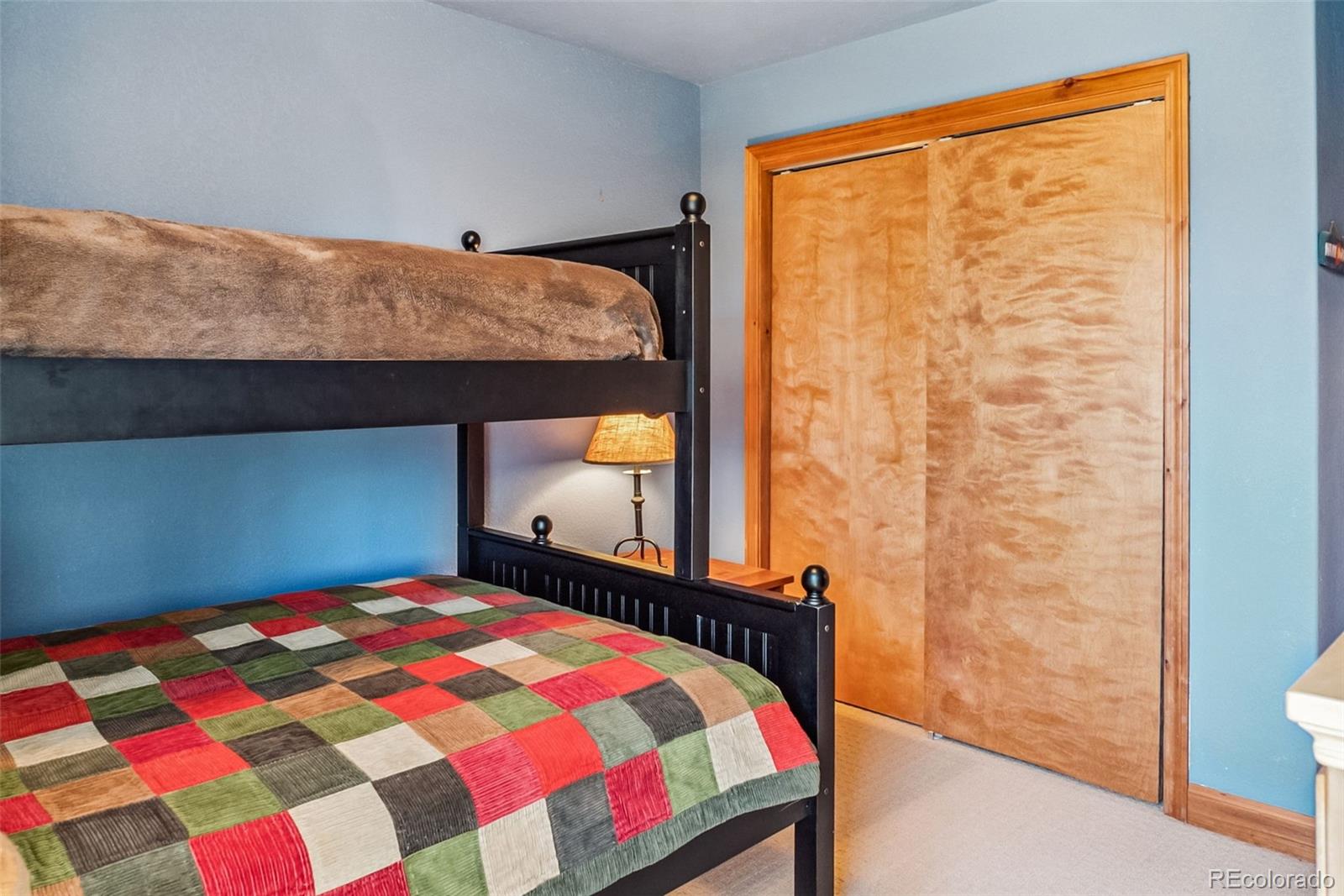 MLS Image #29 for 74  rialto road,fairplay, Colorado