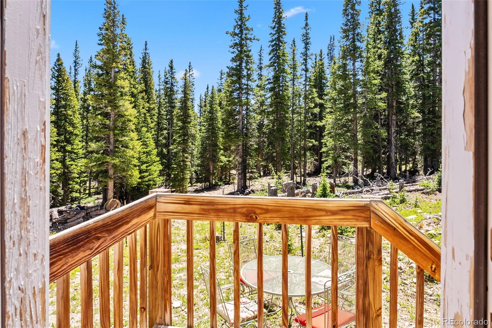 MLS Image #31 for 74  rialto road,fairplay, Colorado