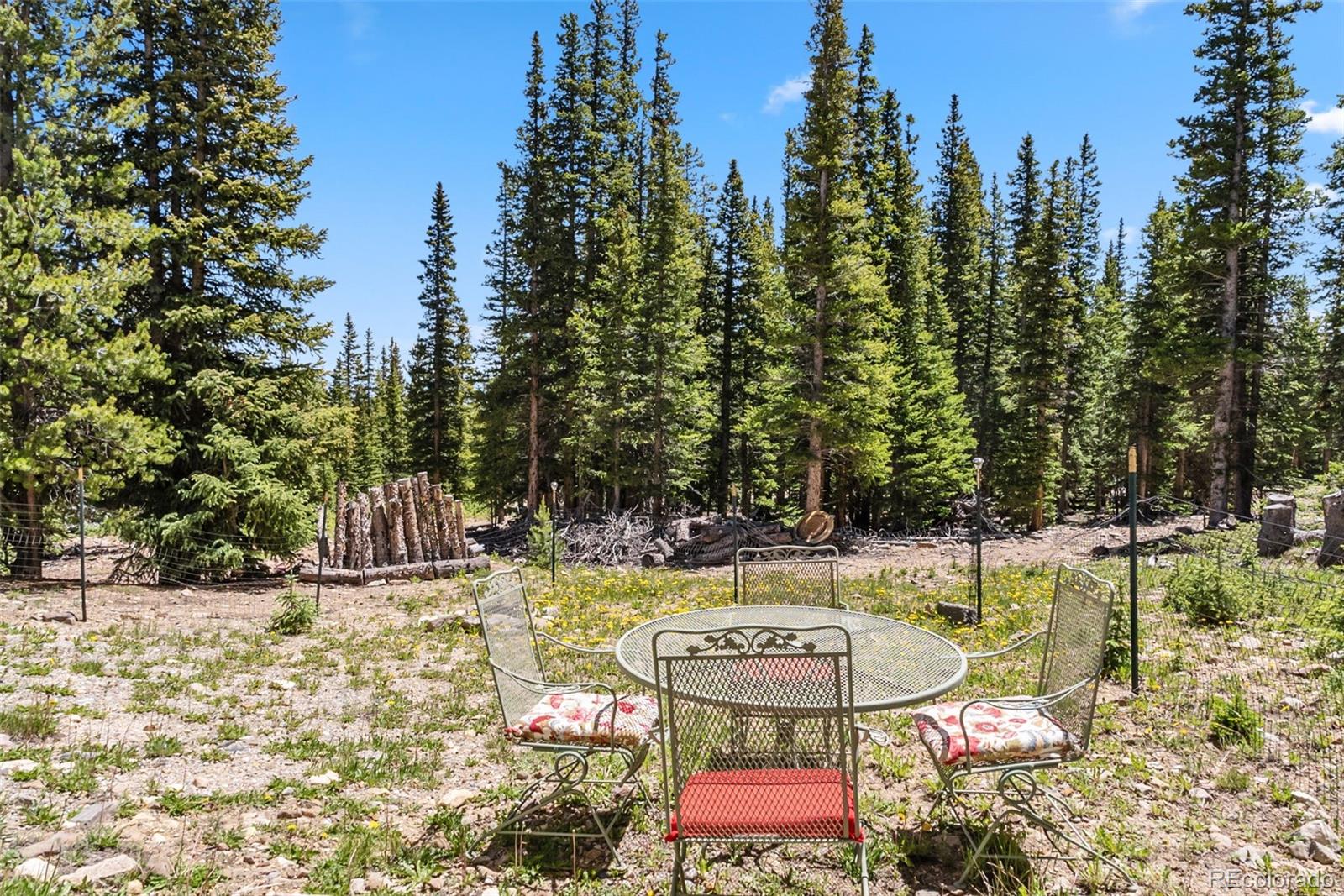 MLS Image #40 for 74  rialto road,fairplay, Colorado