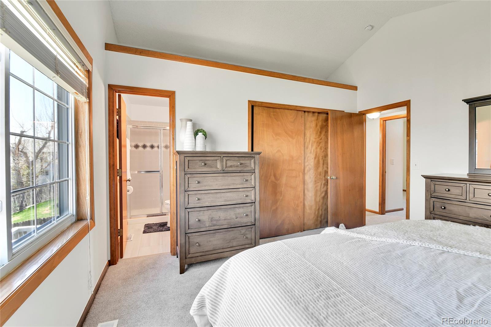 MLS Image #17 for 5826 s jebel way,centennial, Colorado
