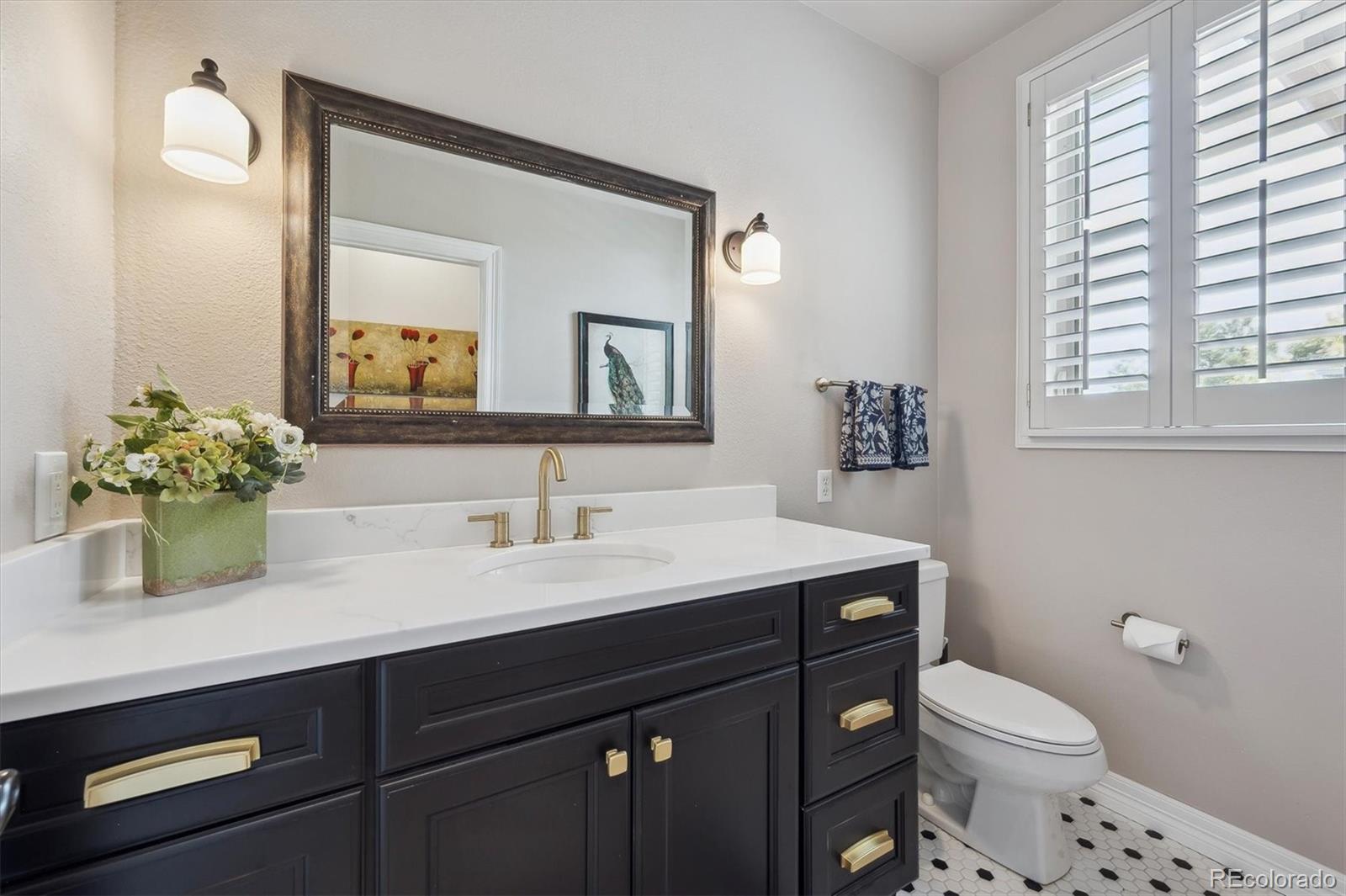 MLS Image #19 for 11064  hermitage run,littleton, Colorado