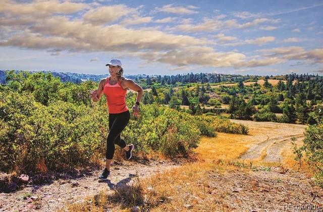 MLS Image #44 for 3038  blithe point,castle rock, Colorado