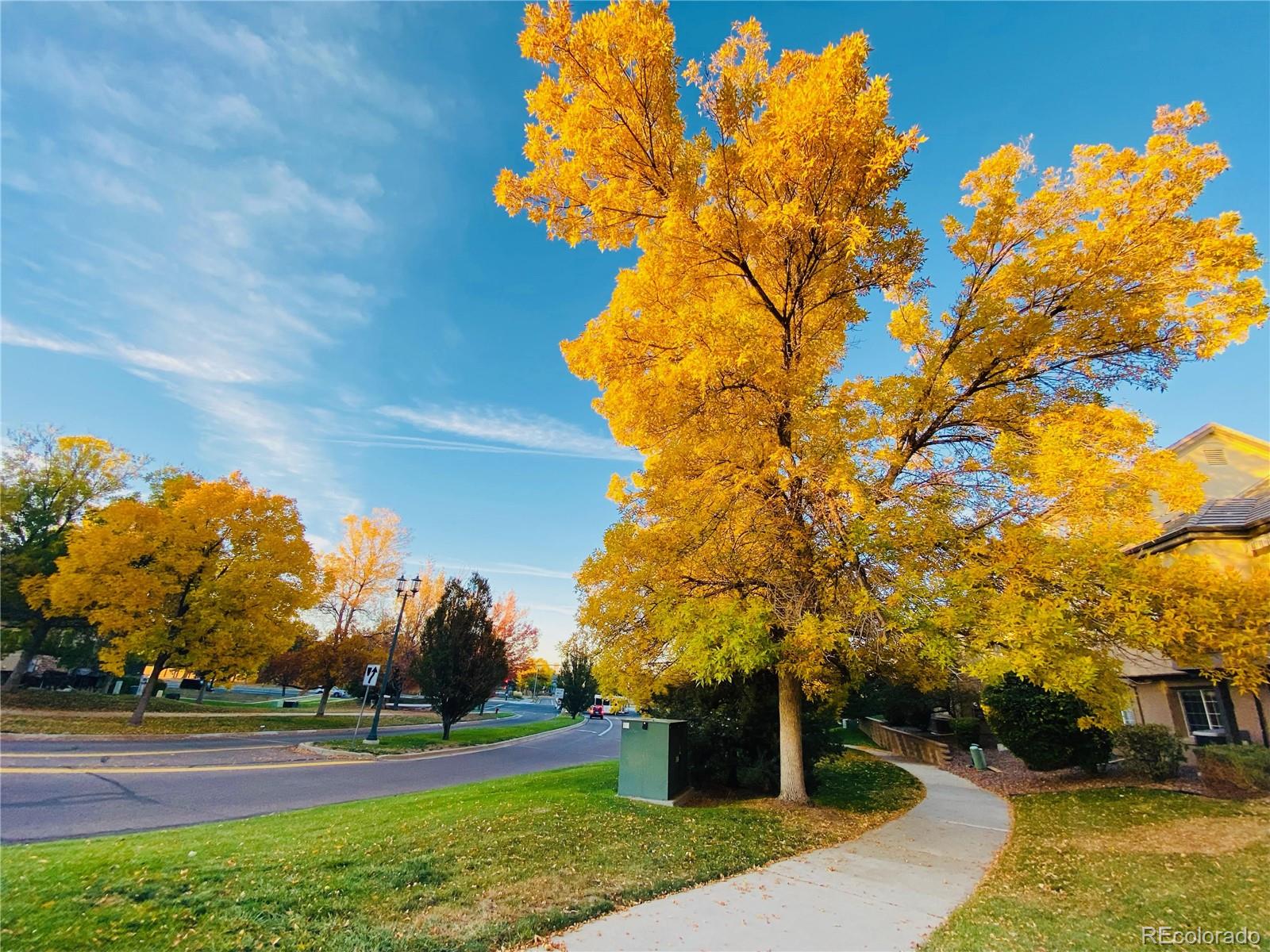 MLS Image #17 for 3425 w 111th loop,westminster, Colorado