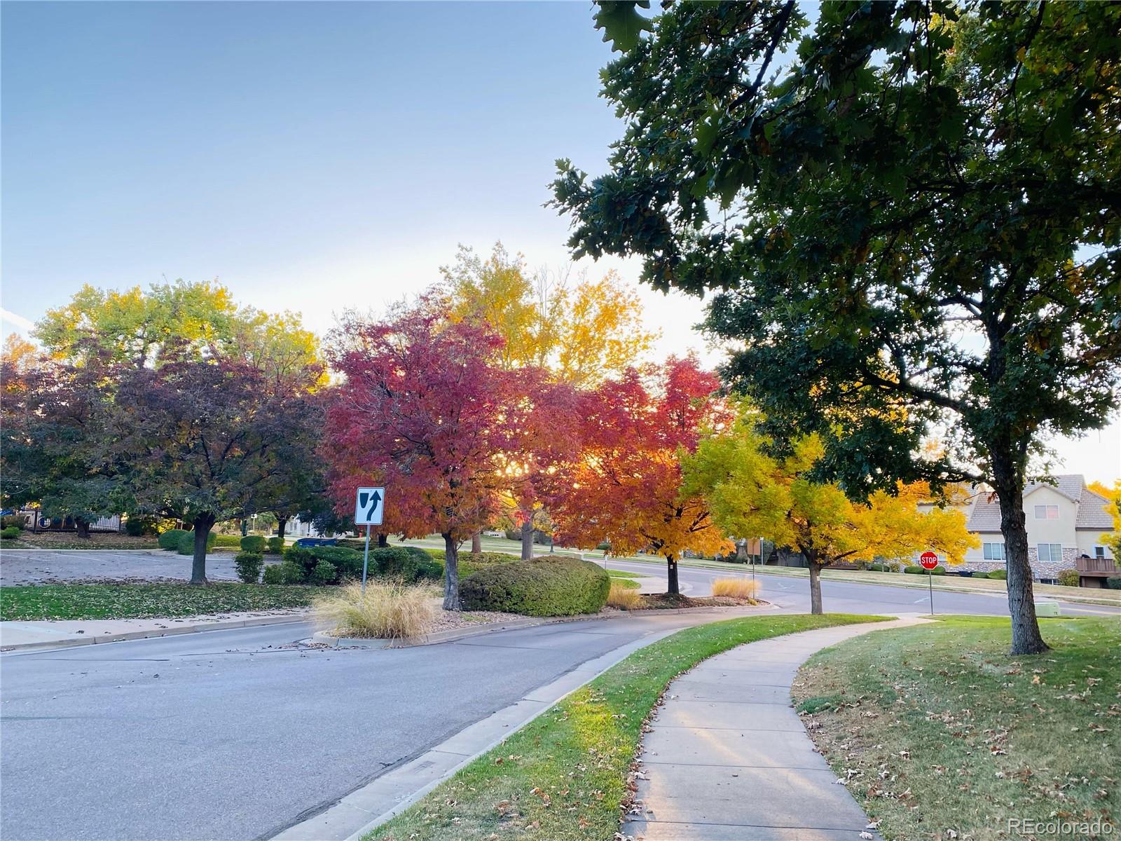 MLS Image #18 for 3425 w 111th loop,westminster, Colorado