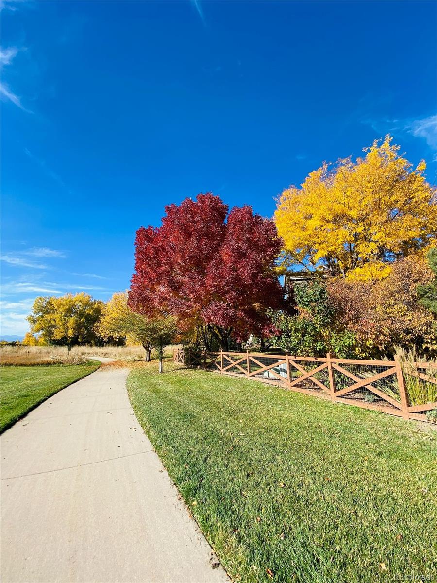 MLS Image #19 for 3425 w 111th loop,westminster, Colorado