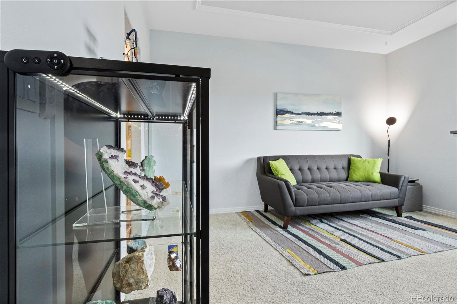 MLS Image #9 for 3425 w 111th loop,westminster, Colorado