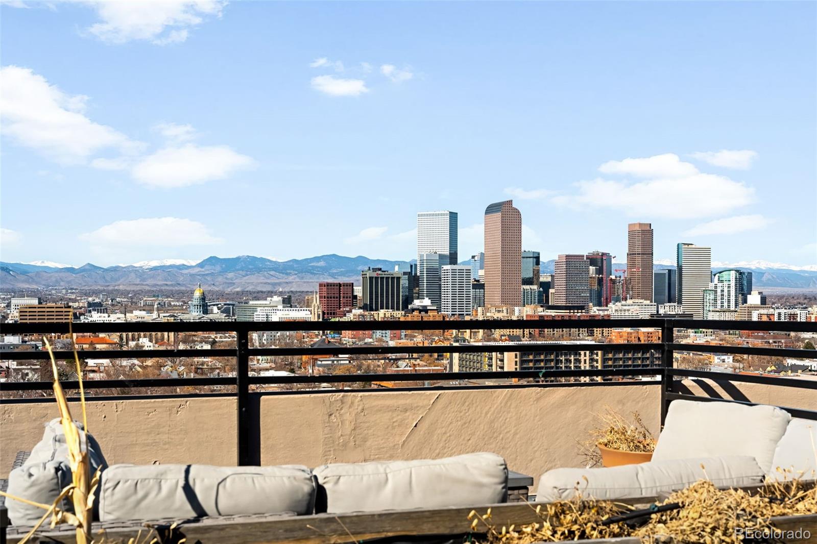 MLS Image #16 for 1313 n williams street,denver, Colorado