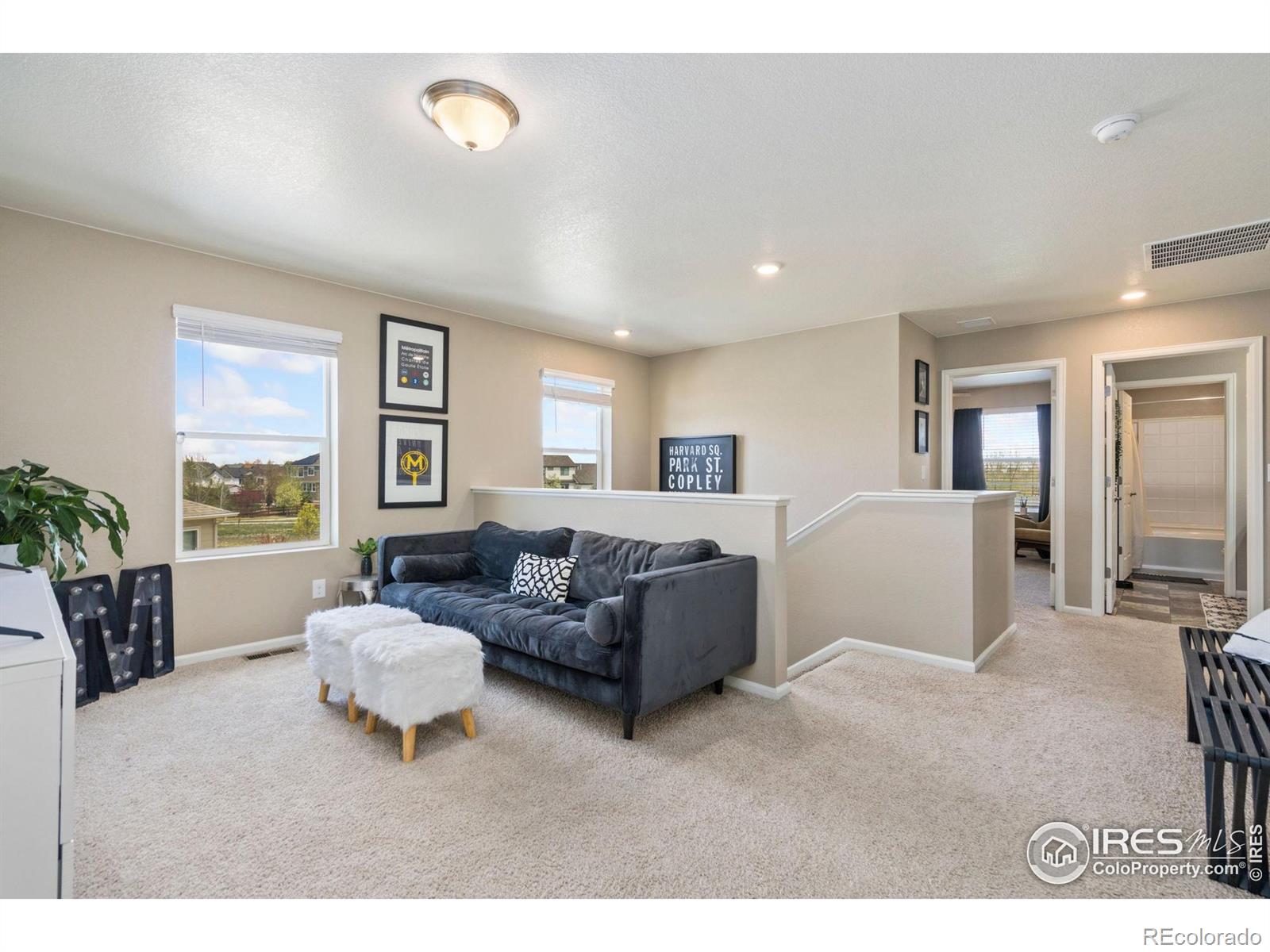 MLS Image #11 for 6930  grainery court,timnath, Colorado