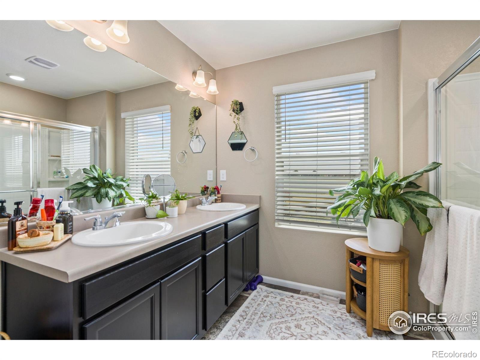 MLS Image #13 for 6930  grainery court,timnath, Colorado