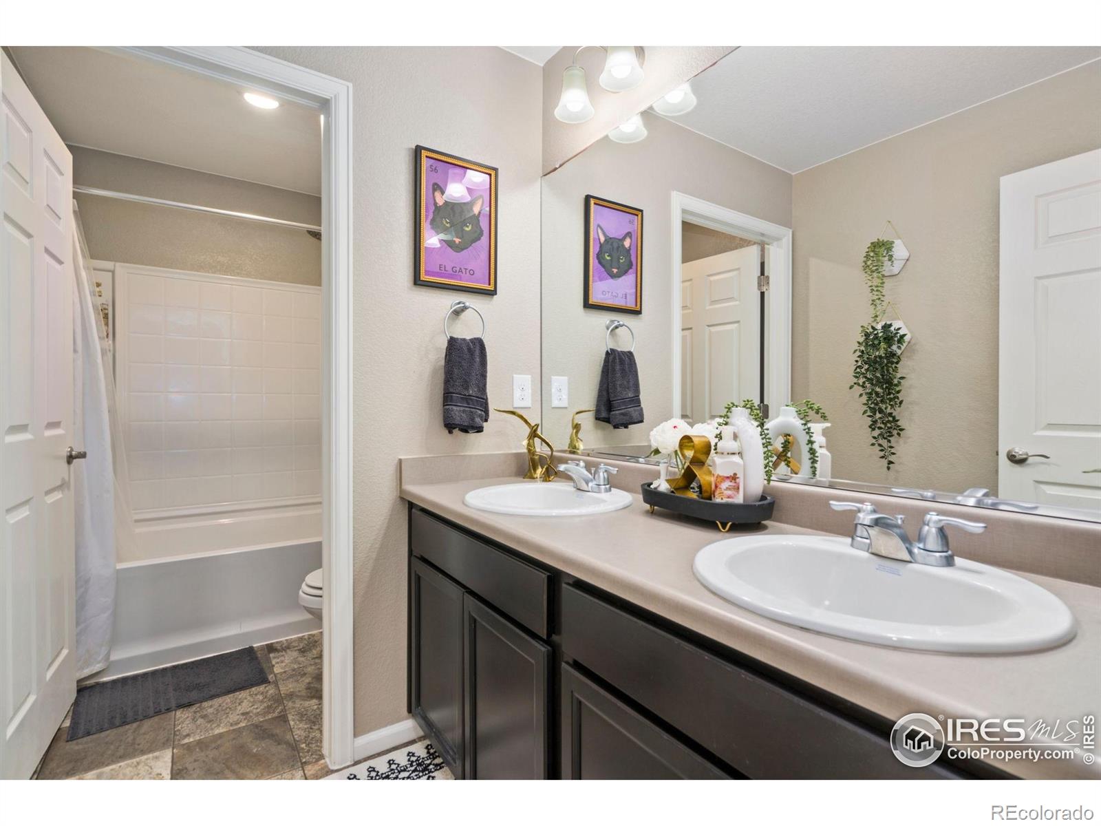 MLS Image #15 for 6930  grainery court,timnath, Colorado