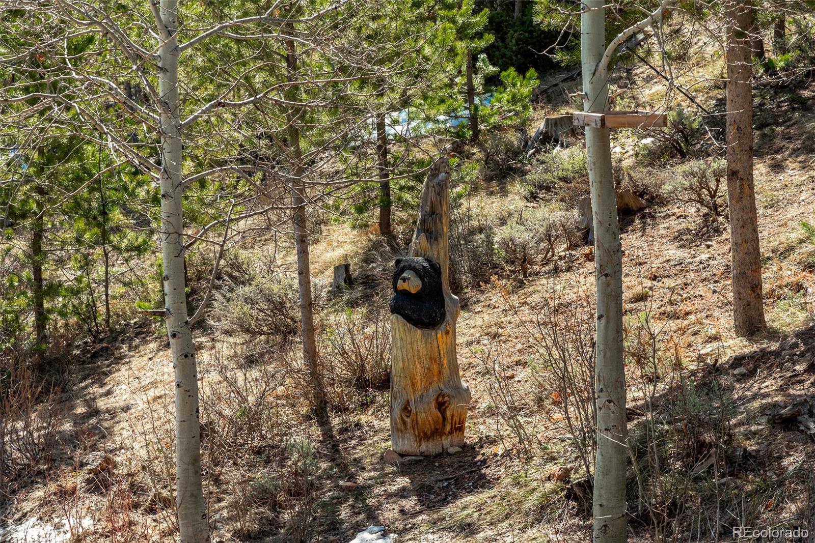 MLS Image #13 for 5480  gcr 20 ,hot sulphur springs, Colorado