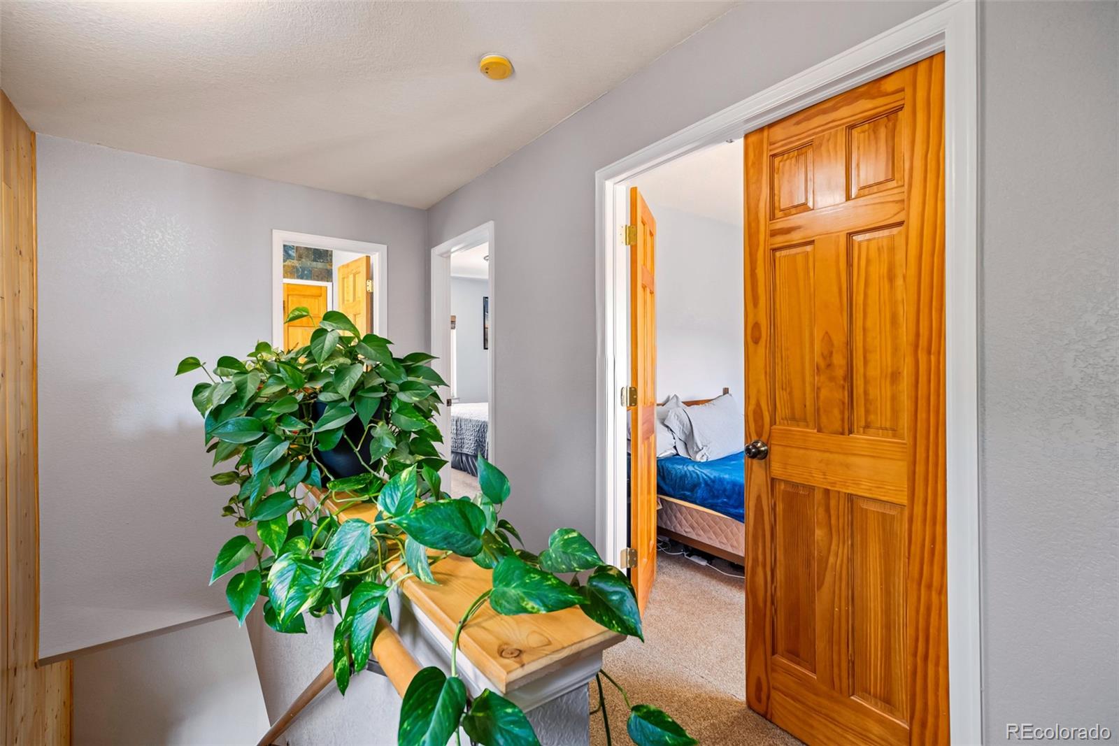 MLS Image #33 for 5480  gcr 20 ,hot sulphur springs, Colorado